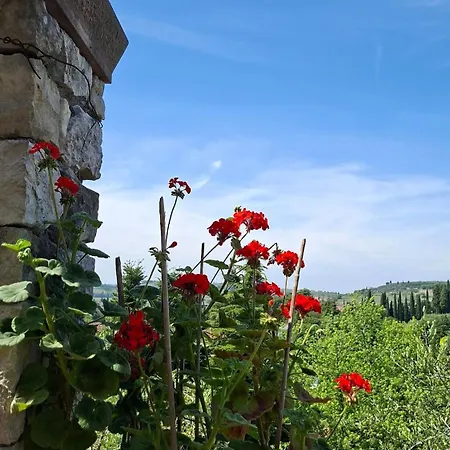 Hébergement de vacances Colle Della Ninfa - Calipso, La Dei Tramonti *