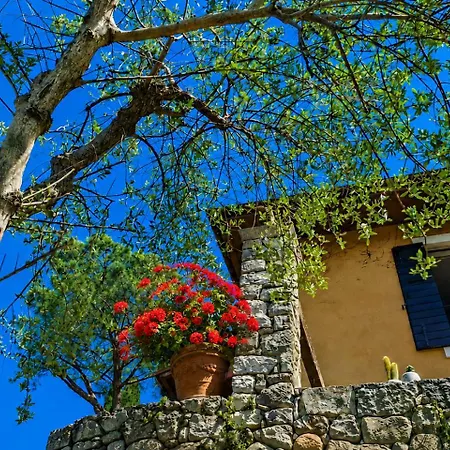 Colle Della Ninfa - Calipso, La Dei Tramonti Hébergement de vacances *