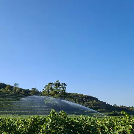 Hébergement de vacances Colle Della Ninfa - Calipso, La Dei Tramonti